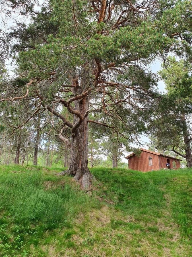 Borkhushyttene Villa Rundtom Luaran gambar